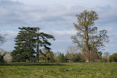 Ayot Place