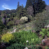 A Day in the Garden