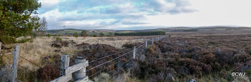 The Moor at Bantrach