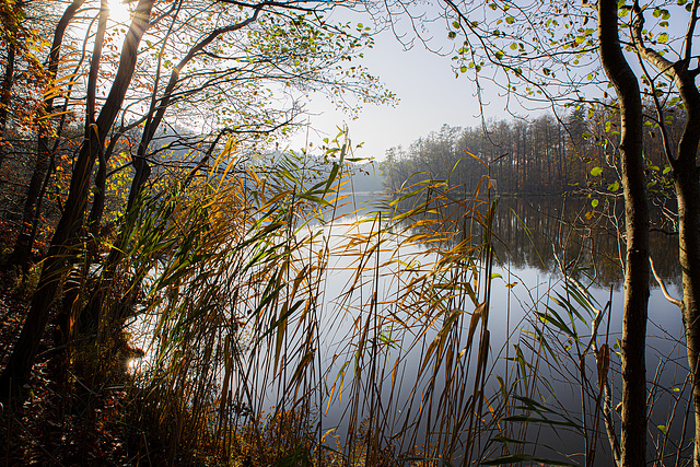 Böbereckensee Herbst 2020