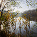 Böbereckensee Herbst 2020