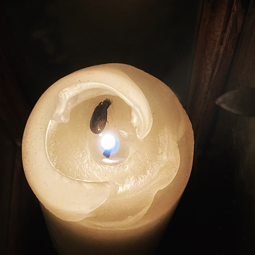 a candle for the 80th anniversary of the liberation of Auschwitz- Birkenau