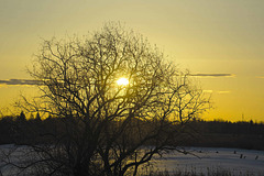 silhouette at sunrise 2