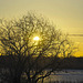silhouette at sunrise 2