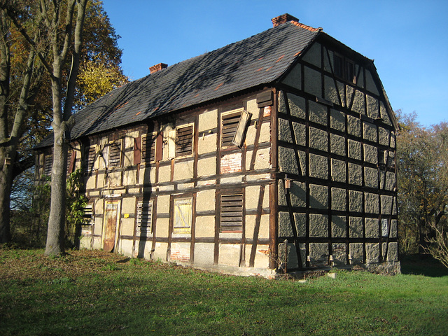 Naturschutzgebiet Schöbendorfer Busch