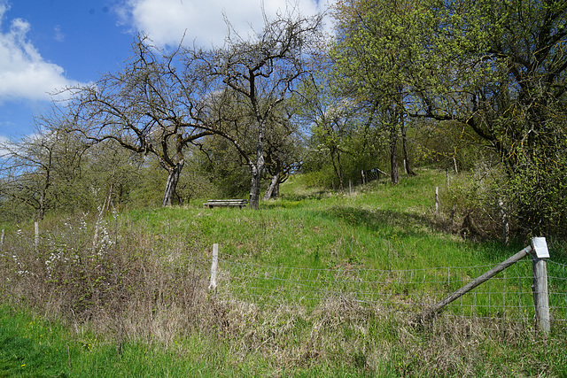 Frühling am Spahnberg