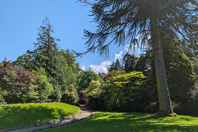 Chinese Garden In Balloch Park