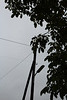 IMG 5832