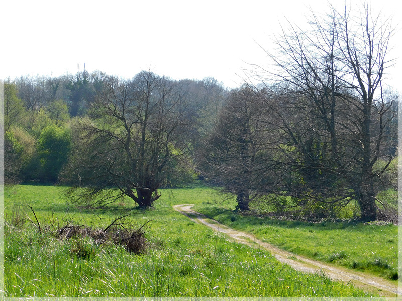 Colline de Brandefert à Plancoet