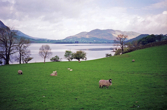 Ennerdale Lake (Scan from May 1990)