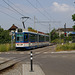 BÖ0002446