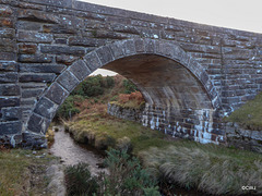 Bogeney Bridge spanning the grassy platform to allow livestock to pass under the old railway