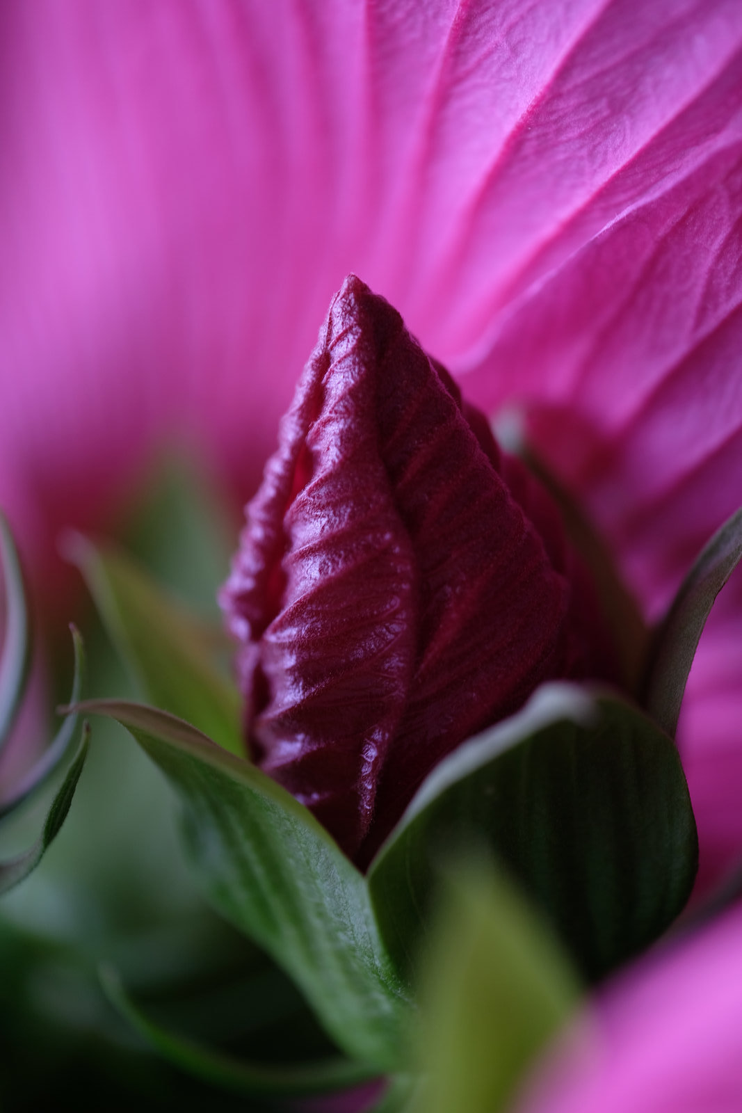 DSCF3961