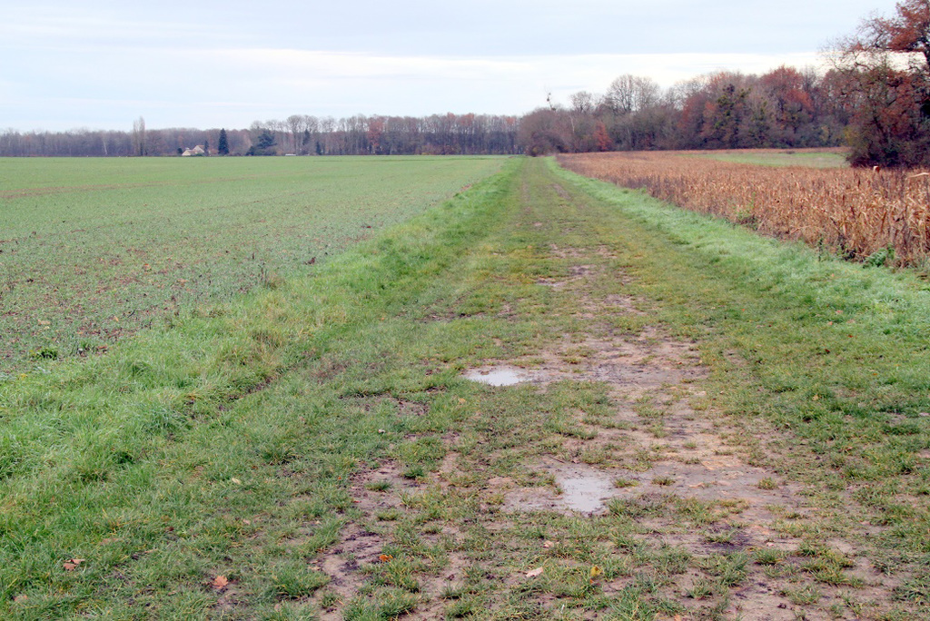 Chemin de Bréau - 6273