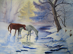 Chevaux en hiver