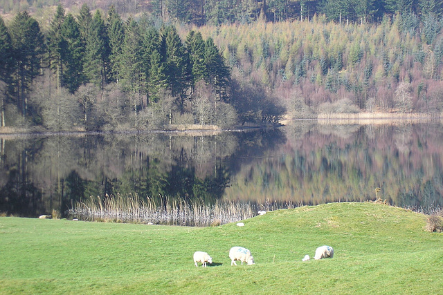 Woodhall Loch