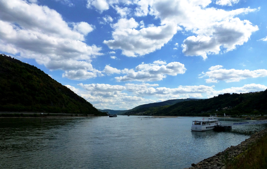 DE - Bacharach - On the banks of the Rhine