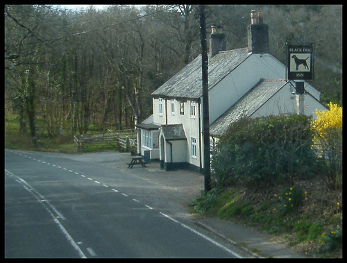 The Black Dog at Stokeford