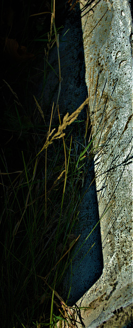 Catching Those Shadows. Catching And Keeping In Mind