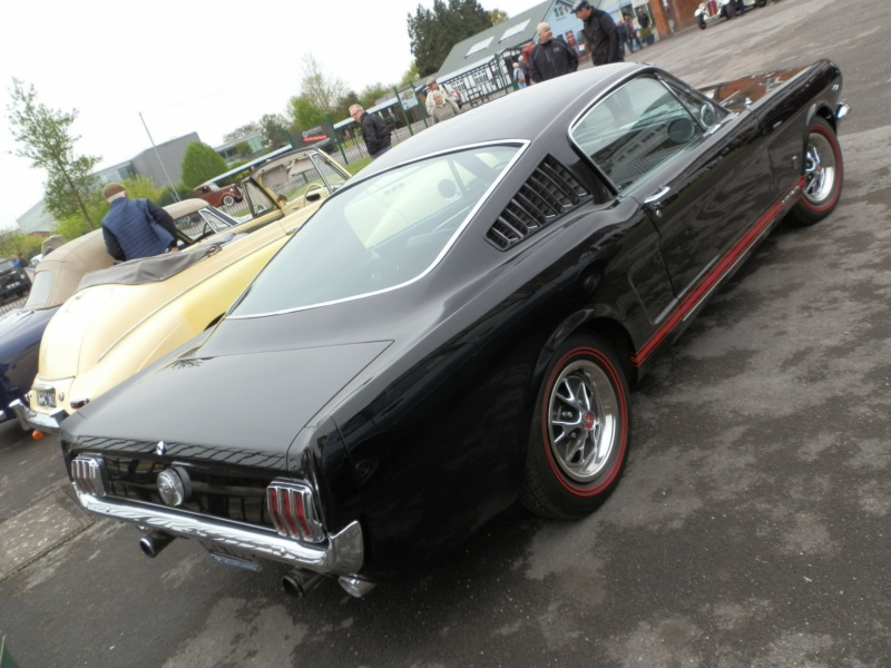 didbapr262015 (1155)