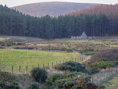 The ruins of the old croft at Bogeney.