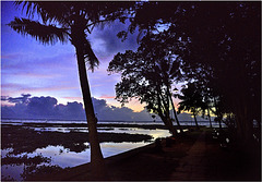 Coconut Lagoon, Kumarakom