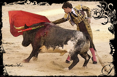 Bullfighting postcard