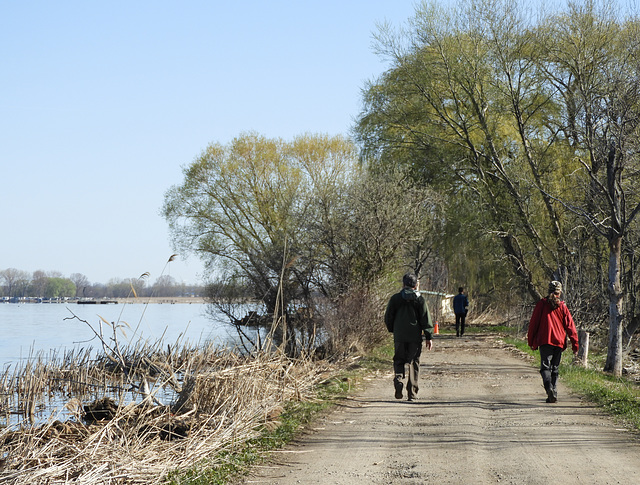 Recreation at Rondeau Provincial Park, Ontario