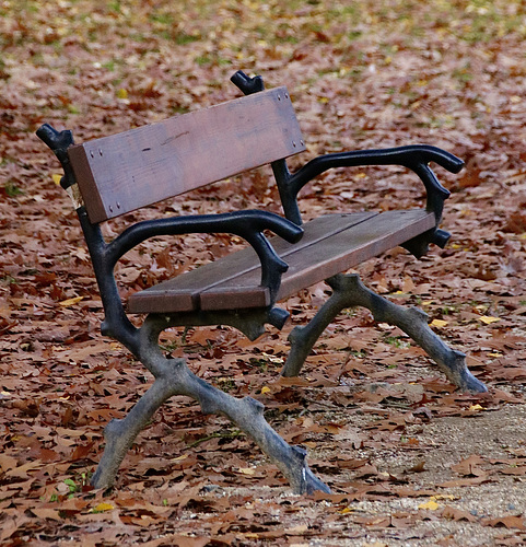 Das Gesicht des Herbstes