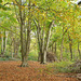 Porthkerry Park