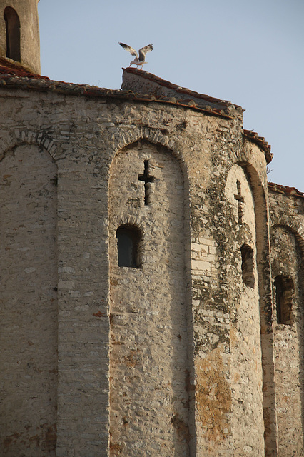 Donat i galeb