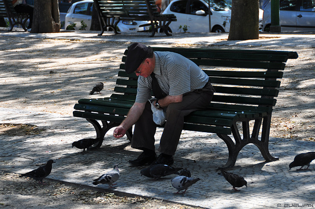 Parkszene in Bairro Alto (© Buelipix)