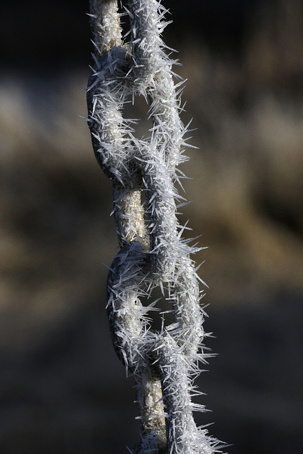 Frosted Chain