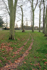 Chemin de la grille d'entrée du Château - 6287