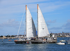 TARA retour au port,