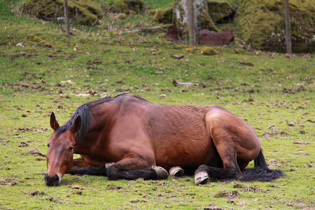 Having a lie down