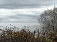 A Moody Mist Over the Chesapeake