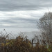 A Moody Mist Over the Chesapeake