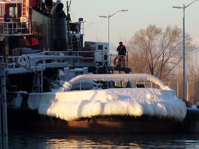 closeup view of Colleen McAllister's stern