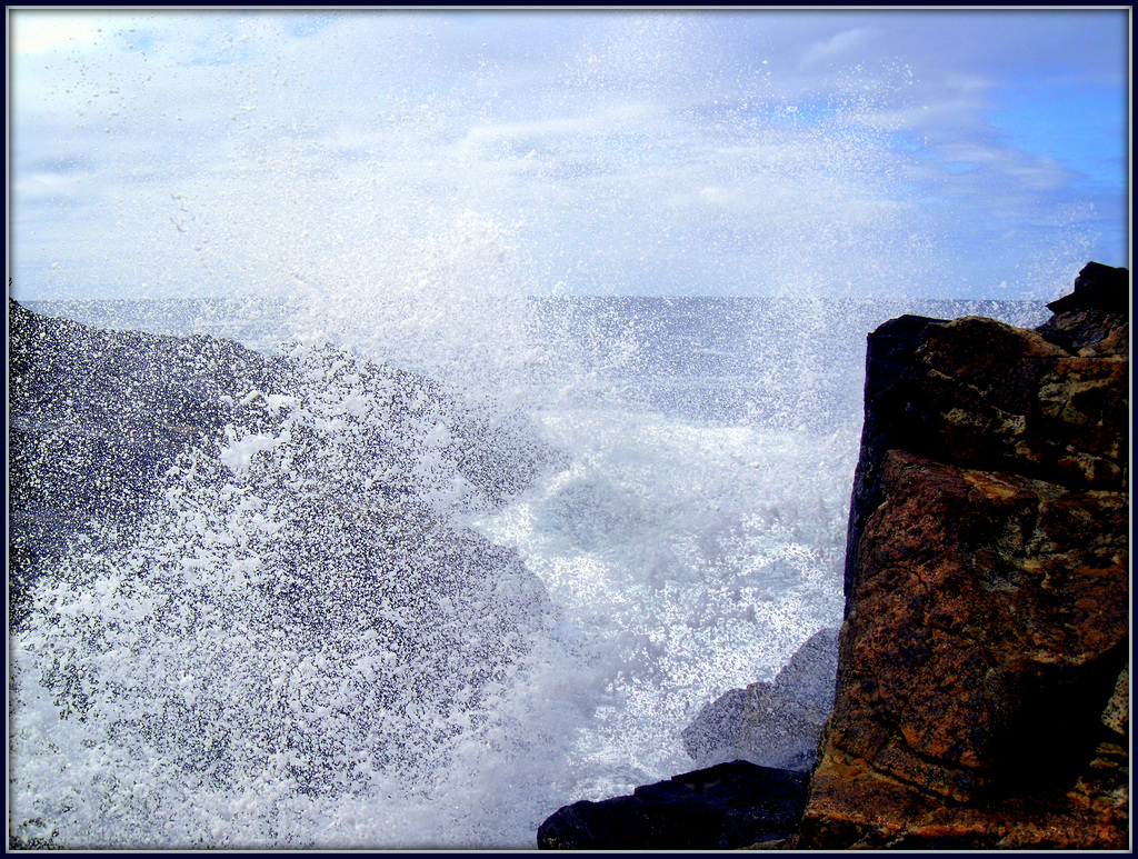 Blow hole from above