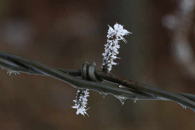 Hoarfrost