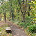 Porthkerry Park