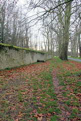 Chemin de la grille du Château - 6289