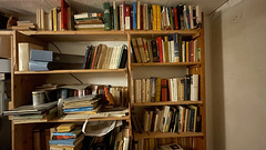 Sorting books on a rainy day.