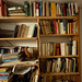 Sorting books on a rainy day.