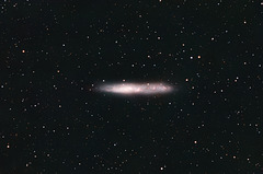 String of Pearls Galaxy NGC55 Or Whale Galaxy