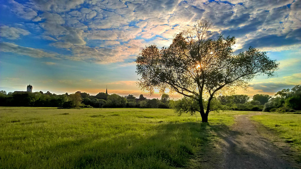 Hanau - Mainwiesen - HDR