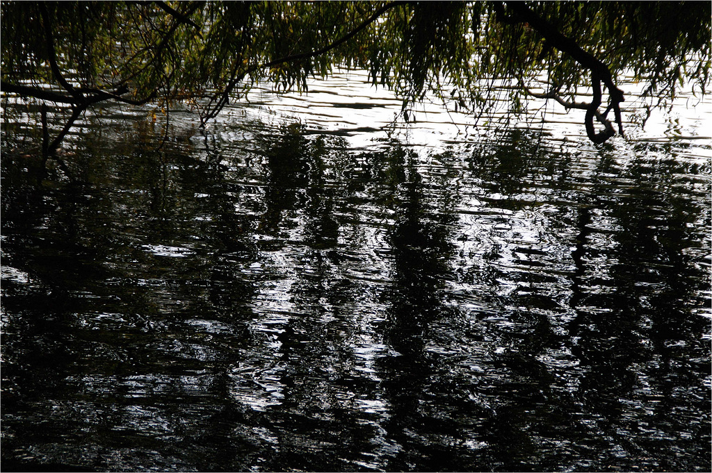 Lac Daumesnil