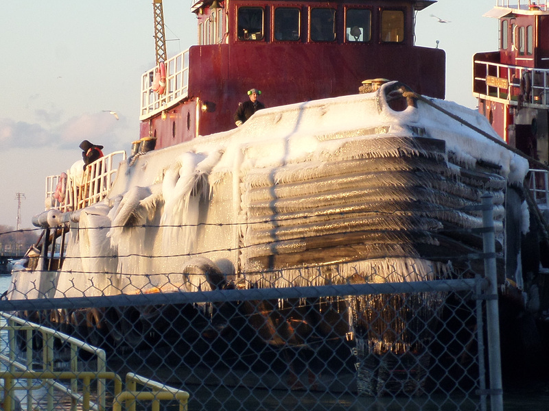 closeup view of Katie G McAllister's bow