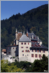 Chateau de Menthon-Saint Bernard